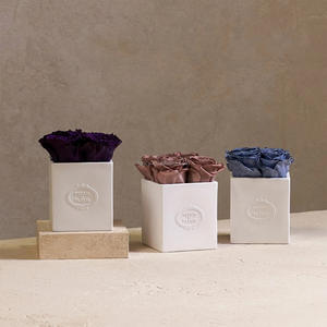 <span class=keywords><strong>Vase</strong></span> en porcelaine de forme carrée 4 longues tiges éternelles pour toujours 4 longues tiges éternité <span class=keywords><strong>Rose</strong></span> Noël Thanksgiving Nouvel An chinois - Product Image 4