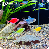 Prix de gros pierres de rivière Aquarium décoratif ruisseau sable gravier roche petits cailloux de pierre de couleur à vendre