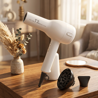 Sèche-cheveux ionique haute puissance YX-T7 Max 2400W à 3 vitesses, séche-cheveux haute vitesse pour salon professionnel et usage extérieur