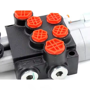 Soluciones hidráulicas personalizadas de manual de: se adaptan a sus especificaciones de forma P40-AQF-G38-G12 - Product Image 6