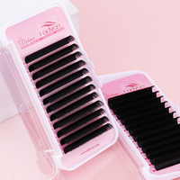 Extensions de cils à marque privée 0.07, cils individuels noir mat, plateau de cils individuels Mega Volume 5-7mm de longueur