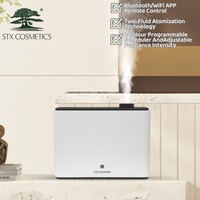 Diffuseur d'arômes mural verrouillable de grande capacité (1000 ml) pour hôtel, machine de diffusion de parfum pour hall d'hôtel