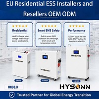 Batterie solaire LiFePO4 murale Hysonn en stock à l'étranger 51,2 V pour les installateurs et revendeurs d'ESS résidentiels en UE OEM ODM