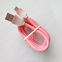 Câbles de données personnalisés en silicone PVC épais 1m 2m OD5.0 Câble USB 2.0 vers Type C Charge rapide de données Connecteur USB C Câble Android