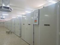 Ensemble complet d'incubateur et d'éclosion électrique automatique à étages pour œufs de chair de volaille, de canard et de poulet avec une échelle de grande capacité
