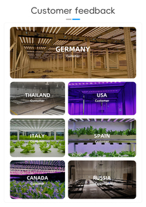 Lámpara LED de Cultivo de Espectro Completo de 640W 720W, Regulable, para Vegetales y Flores, en Existencia, para TH, EE. UU., Reino Unido, UE, AU, RU, <span class=keywords><strong>JP</strong></span> - Product Image 6