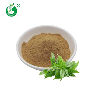 Pincredit Supply - Extracto <span class=keywords><strong>Natural</strong></span> de Andrographis <span class=keywords><strong>Paniculata</strong></span> 10% 98% en Polvo de Andrografólido - Product Image 4