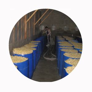 Ortaggi freschi cinesi a prezzo ragionevole coltivati con cura germogli di soia surgelati IQF biologici - Product Image 2