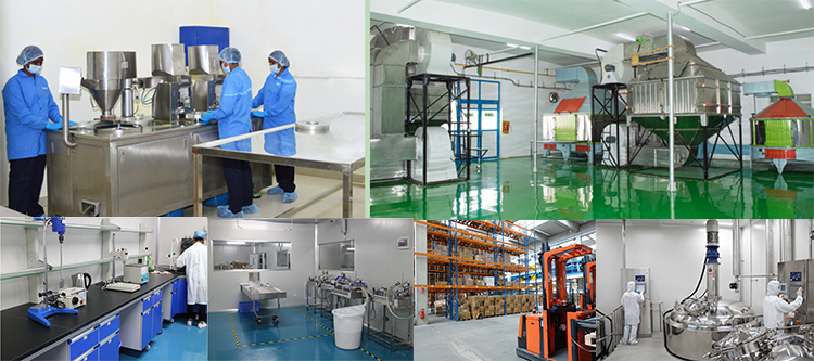 Lifeworth Hot selling fruit chewy candy collagen gummy candies apple cider vinegar collagen gummies