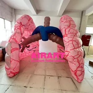 lifelike inflatable lungs model balloon
