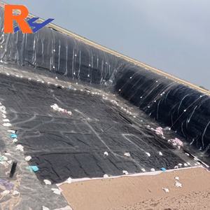 Rivestimento per Biodigestore, Geomembrana HDPE 1mm 1.5mm 2mm, Rivestimento in Plastica per Dighe, Stagni, Allevamenti Ittici, per Sistemi di Digestione Biogas - Product Image 2