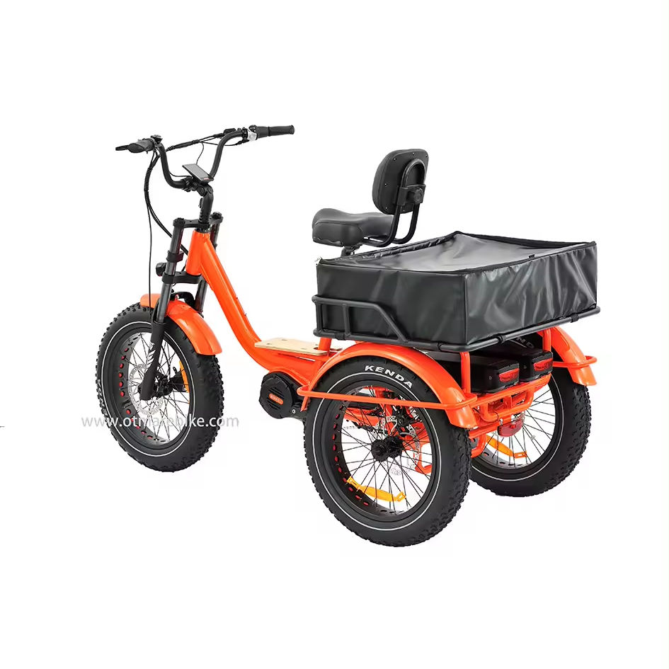 Canadian Tire Tricycle For Adults Canadian Tire Adult Tricycle