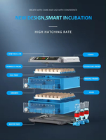 Incubateur d'Œufs Automatique avec Alimentation en Eau, Capacité 500, Incubateur Intelligent de Petite Taille pour la Maison 220V/110V/12V