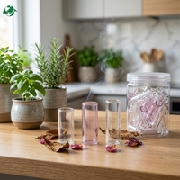 Embouts filtrants en verre réutilisables portables