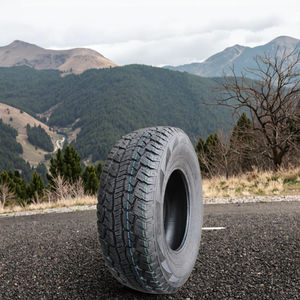 Pneus Tubeless Radial <span class=keywords><strong>195</strong></span>/R15 215/<span class=keywords><strong>65</strong></span>/16C 215/70 R16C pour voitures et SUV - Product Image 2