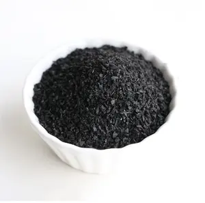 Factory Sales Anthracite Coal as Filter Media for Waste Water Treatment