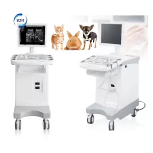 Carrinho de animais veterinários para sistema de diagnóstico por ultrassom BW, máquina de ultrassom com acessórios