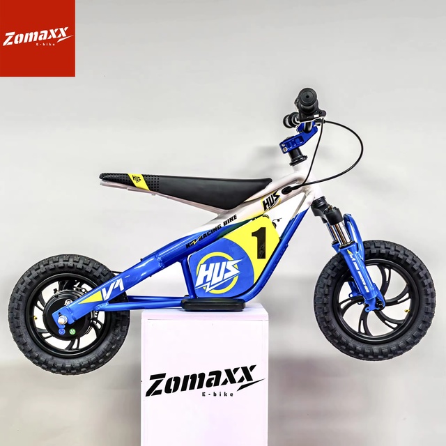 Hot sale 650w 12 Inch 2025 Best Selling Kids Electric Bike