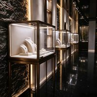Présentoir à bijoux en aluminium éclairé par LED pour les magasins de détail