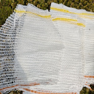 Bolsa de malla Pe Raschel de plástico de alta calidad e irrompible en embalaje de limón en rollo - Product Image 4