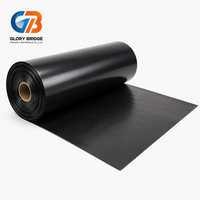 Membrane géotextile HDPE/EVA pour la protection de l'environnement - Anti-infiltration, non toxique, forte stabilité chimique pour bassin, barrage, étang à poissons