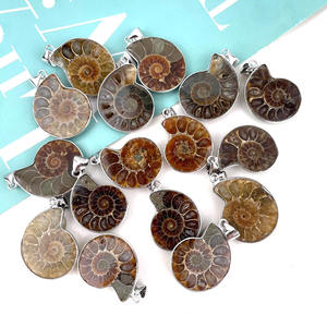 थोक प्राकृतिक शंकु जीवाश्म टुकड़ा इंद्रधनुष एमोनाइट जीवाश्म नमूना आकर्षक हार के लिए - Product Image 1