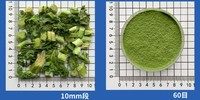 Fabricant Professionnel de Chou Frisé Lyophilisé de Qualité Export, Poudre de Chou Frisé Lyophilisé pour Smoothies Sains
