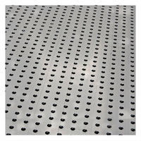 Tamis en acier inoxydable perforé pour grains de café / tamis à grains