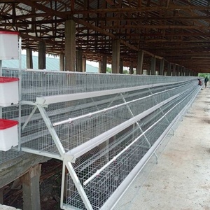 Cages pour poules pondeuses en acier galvanisé, poulailler, cage pour animaux de ferme, cage à lapins, poulailler pour poulets - Product Image 6