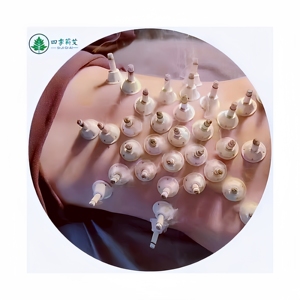 Efficiënte Moxibustionconditionering Expert Aangewezen Product Moxa Stick/Moxibustie Gips/Bijvoet Cakemoxa Kegels - Product Image 4