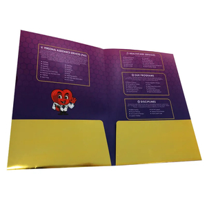 Tùy chỉnh A4/A5 giấy tài liệu trình bày tập tin thư mục với túi kép Giao hàng nhanh chóng cho quảng cáo khuyến mãi nộp hồ sơ sản phẩm - Product Image 3