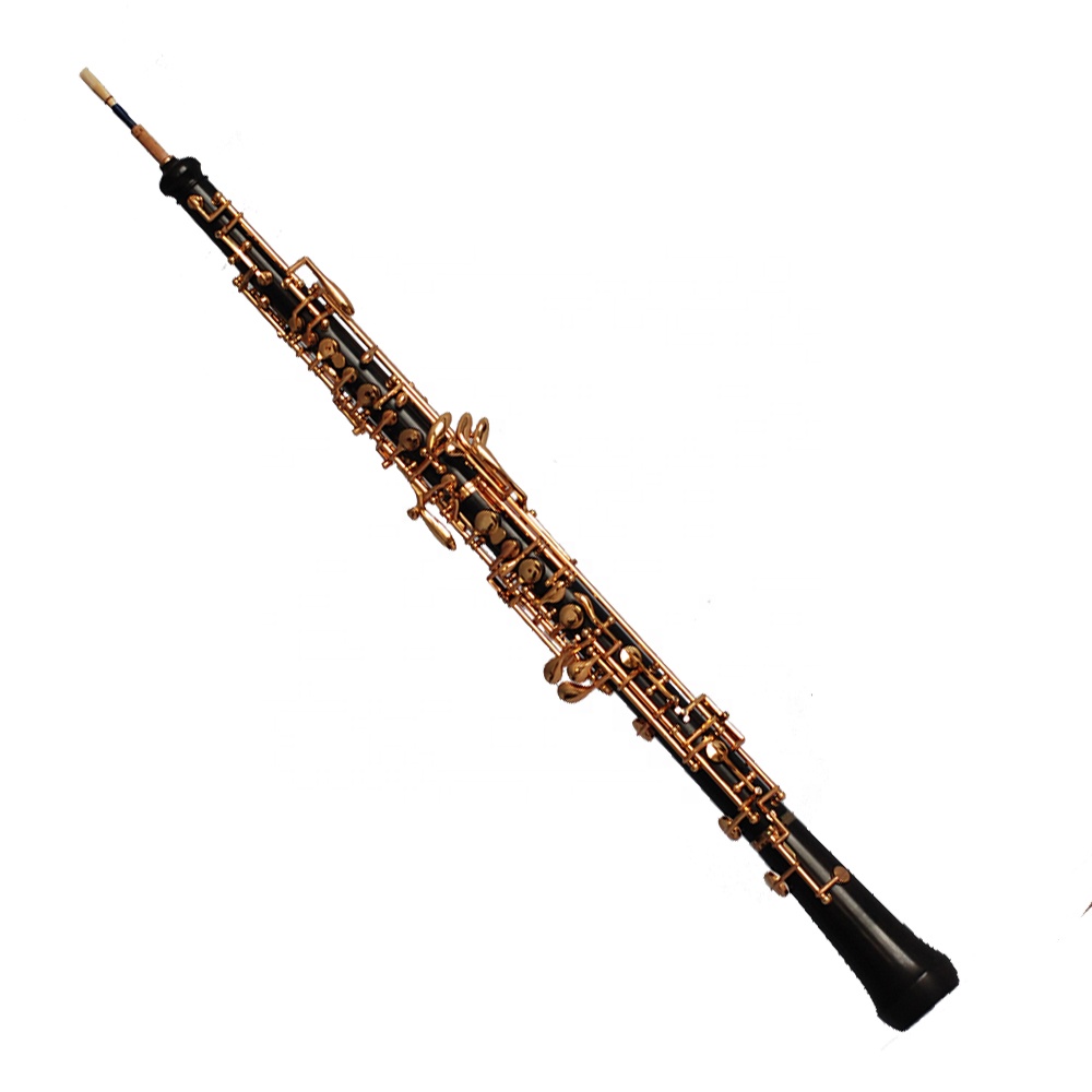 Professional C Key Oboe - Ebony Body with Gold Plated Keys, 17
