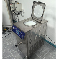 Machine de pasteurisation automatique de jus et d'œufs en acier inoxydable 32L, pasteurisateur commercial pour lait et yaourt