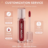Gloss à lèvres vegan effet diamant, label privé, non-collant, mat, liquide, longue tenue, hydratant, brillant, pailleté