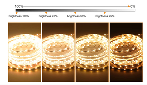 Ngoài trời không thấm nước IP67 <span class=keywords><strong>0</strong></span>-<span class=keywords><strong>10V</strong></span> Dimmable dẫn lái xe 200W-300W chuyển mạch cung cấp điện dẫn Dải COB dẫn đèn AC-DC nhựa - Product Image 5