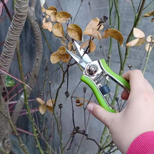 <span class=keywords><strong>Mini</strong></span> <span class=keywords><strong>sécateur</strong></span> de raisin de jardin bricolage avec ciseaux à lame en acier inoxydable pour les travaux d'élagage - Product Image 6