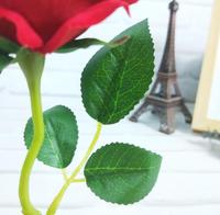 Nouvelle conception de la Belle et la Bête, roses éternelles conservées en gros avec lumières LED dans un dôme en verre à vendre