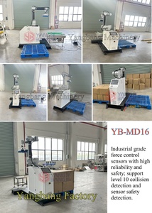 Yangbang giá thấp <span class=keywords><strong>Robot</strong></span> <span class=keywords><strong>palletizing</strong></span> Máy <span class=keywords><strong>Robot</strong></span> palletizer tự động <span class=keywords><strong>Robot</strong></span> <span class=keywords><strong>palletizing</strong></span> hệ thống - Product Image 4