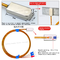 Sonde de température magnétique Pt100 à détection de température, patch magnétique à adsorption, aimant d'adsorption