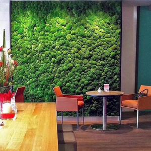 Tapis d'herbe artificielle, <span class=keywords><strong>fausse</strong></span> <span class=keywords><strong>plante</strong></span> <span class=keywords><strong>murale</strong></span> en mousse chinoise, <span class=keywords><strong>plante</strong></span> artificielle esthétique, succulente, bonsaï, herbe artificielle florale, gazon artificiel - Product Image 3
