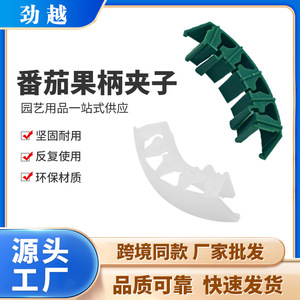 Outil de pliage de plantes Haihua, pince en plastique pour tiges de tomates, attache de renforcement verte pour support de jardinage - Product Image 4