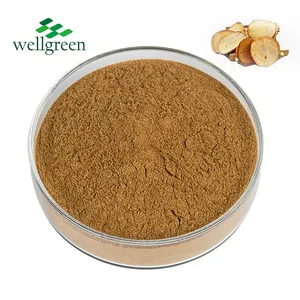 Manufacturer Bulk Raw Material Herbs 100% Pure Natural Tongkat Ali Root Extract Powder Private Label