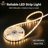 Bande LED flexible haute luminosité DC24V IP20 160 LED/m SMD2835, température de couleur 3000K-6000K, corps en cuivre, éclairage paysager