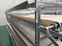 Nouvelle cage automatique pour poules pondeuses, cage à batterie de type H en acier inoxydable et acier galvanisé, facile à nettoyer, pour ferme avicole complète