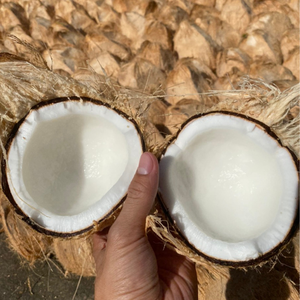 Noix de coco semi-décortiquées au meilleur prix, fraîches de VIA - Vietnam! - Product Image 2