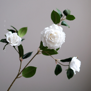 Gardenia silk <span class=keywords><strong>flower</strong></span> <span class=keywords><strong>camellia</strong></span> chất lượng cao bất động cảm ứng hoa nhân tạo bán buôn home deco trang trí đám cưới - Product Image 2