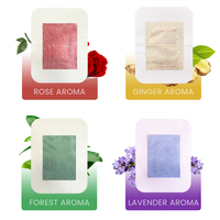 Patch de Soin des Pieds Détoxifiant Naturel de Qualité Supérieure à Base de Plantes (Romarin, Bambou, Thé Vert) Absorbant les Toxines, Emballage Personnalisé OEM, Fournisseur à Faible MOQ