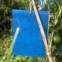 25*20 cm Sterke, duurzame, dubbelzijdige, milieuvriendelijke, langdurige, waterdichte, UV-bestendige insectenvanger voor boomgaarden