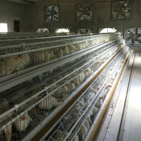 Les cages commerciales de pondeuse d'oeufs de poulet de TBB conçoivent l'équipement d'élevage de volaille de 3 ou 4 couches