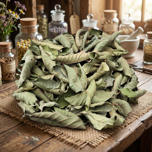 ใบมะเฟืองแห้งแบบอียิปต์ (อายุการเก็บรักษา 24 เดือน)- แบรนด์ HERBS GROUP ผลิตภัณฑ์จากอียิปต์ แหล่งผลิต ฟายูม อียิปต์ - Product Image 2
